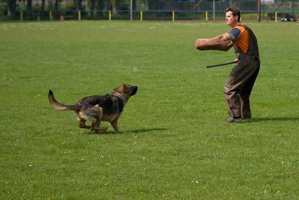 Archivbild: Maiveranstaltung 2009, Bild 06