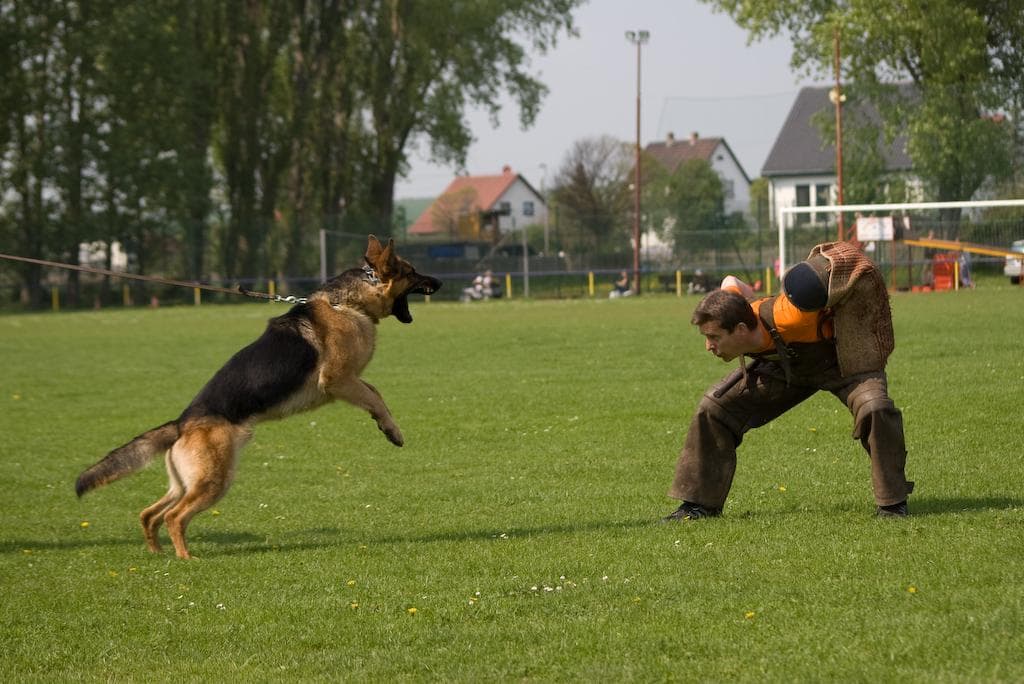 Archivbild: Maiveranstaltung 2009, Bild 08