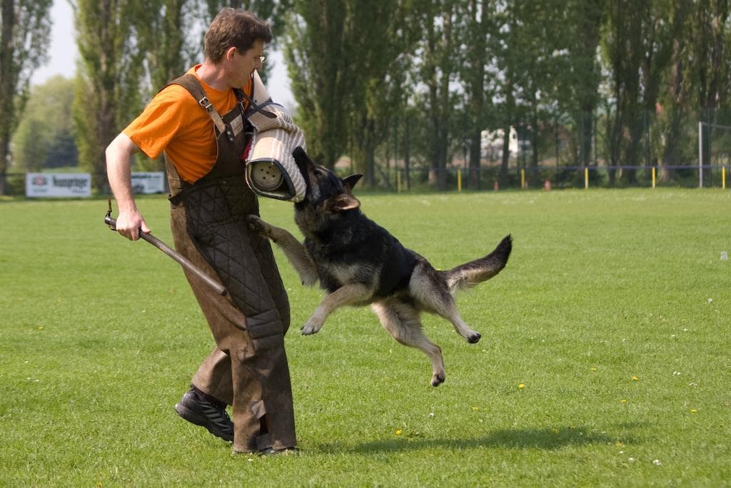 Archivbild: Maiveranstaltung 2009, Bild 09