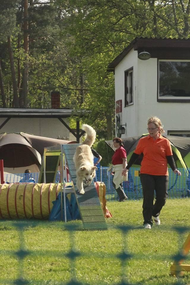 letztes Regionalligaturnier 2015