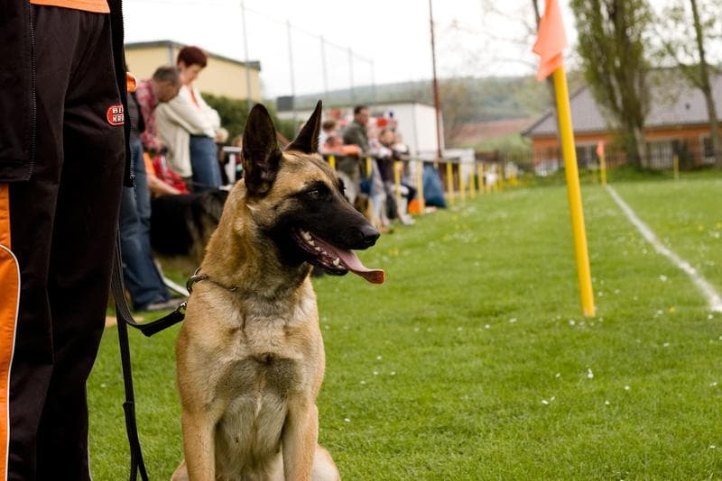 Bilder der Maiveranstaltung 2010