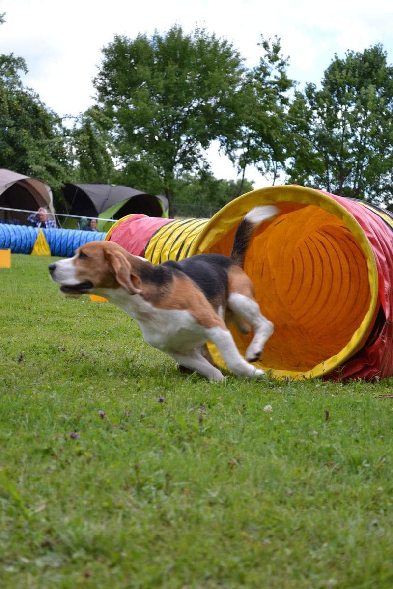 Hessisch Lichtenau 27.07.2015