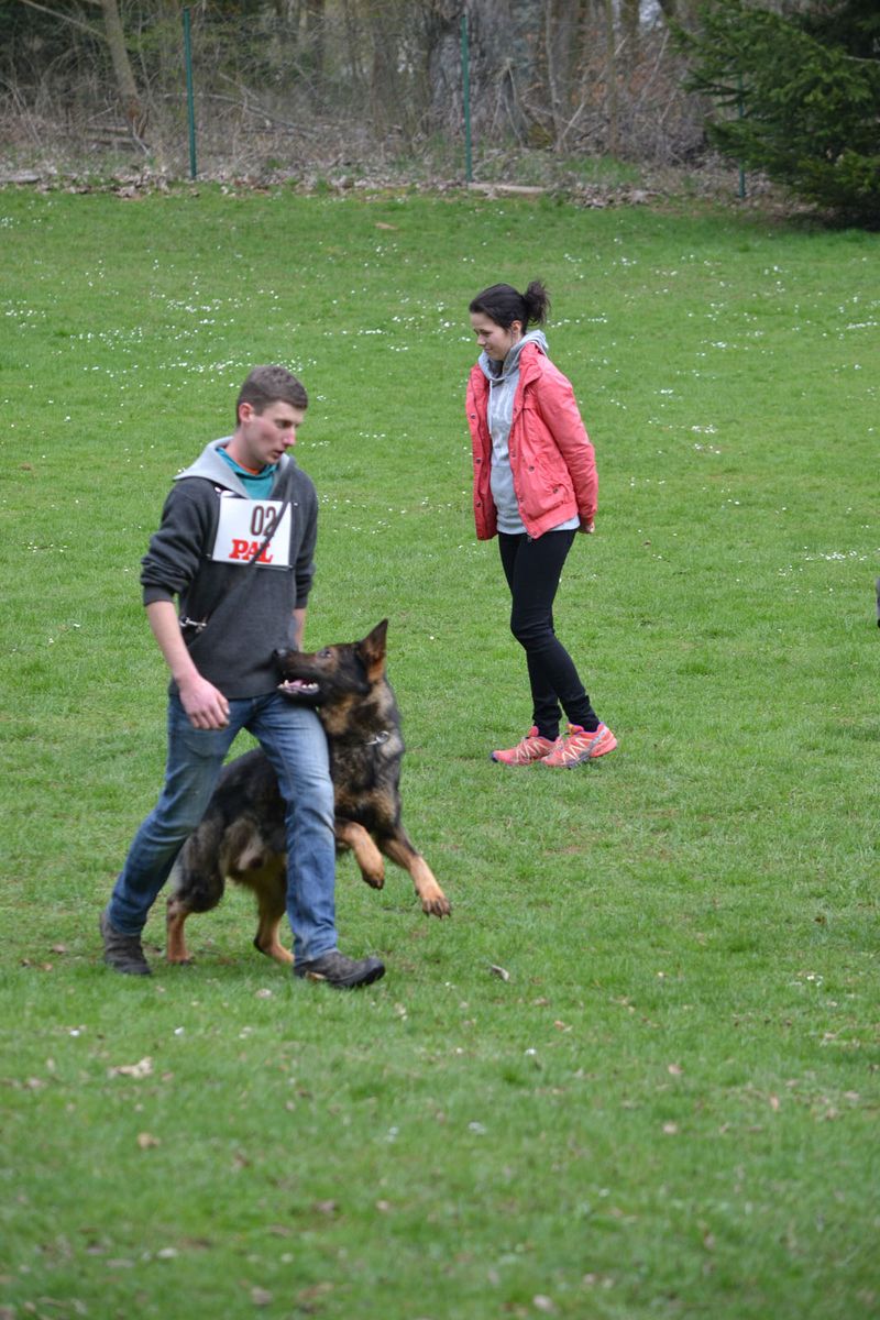 Thüringer Landesjugend und Junioren Meisterschaften
