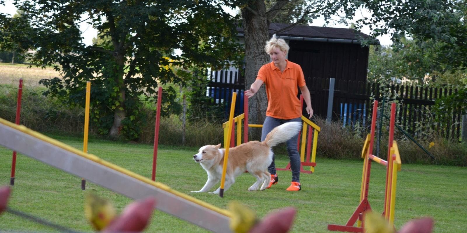 Turnier bei den Britischen Hütehunden in Gotha