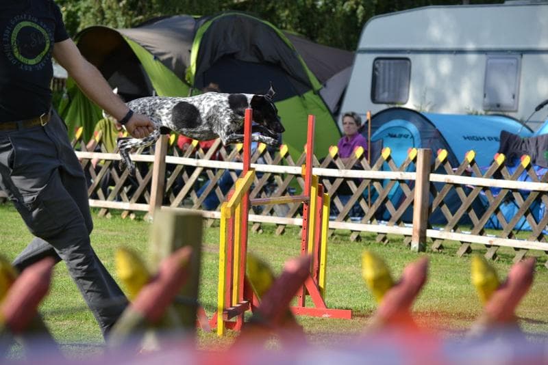 Agility Turnier in Schönstedt, Tor zum Hainich