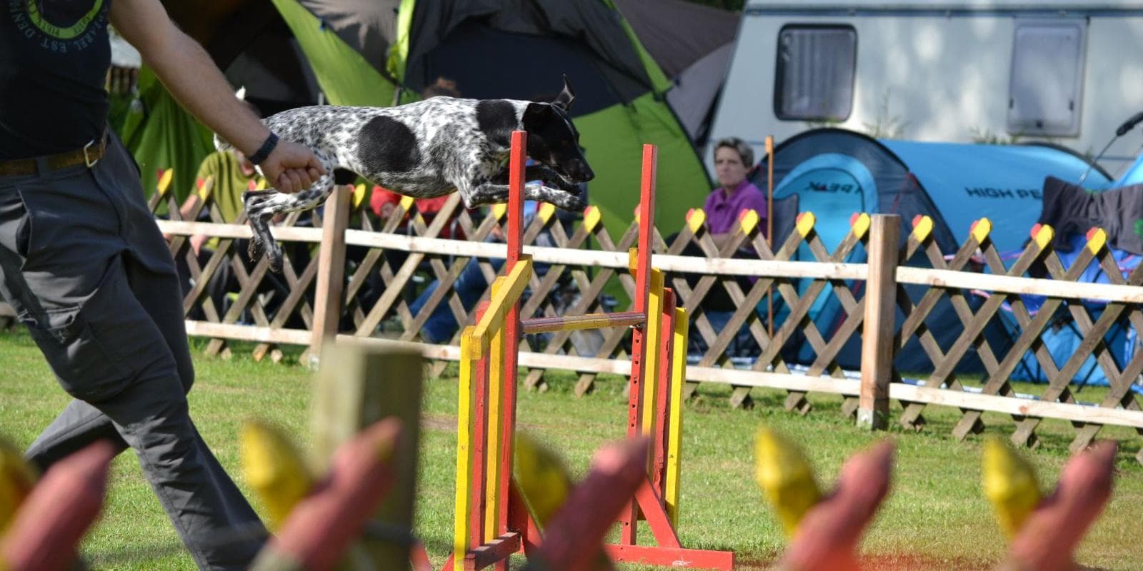 Agility Turnier in Schönstedt, Tor zum Hainich