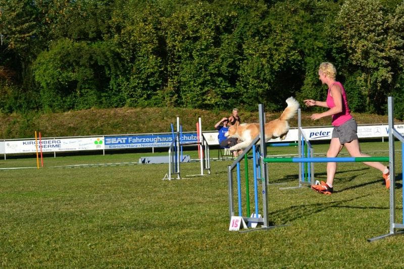 Rocket Race in Walkenried