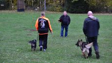 Herbstprüfung 29.10.2016