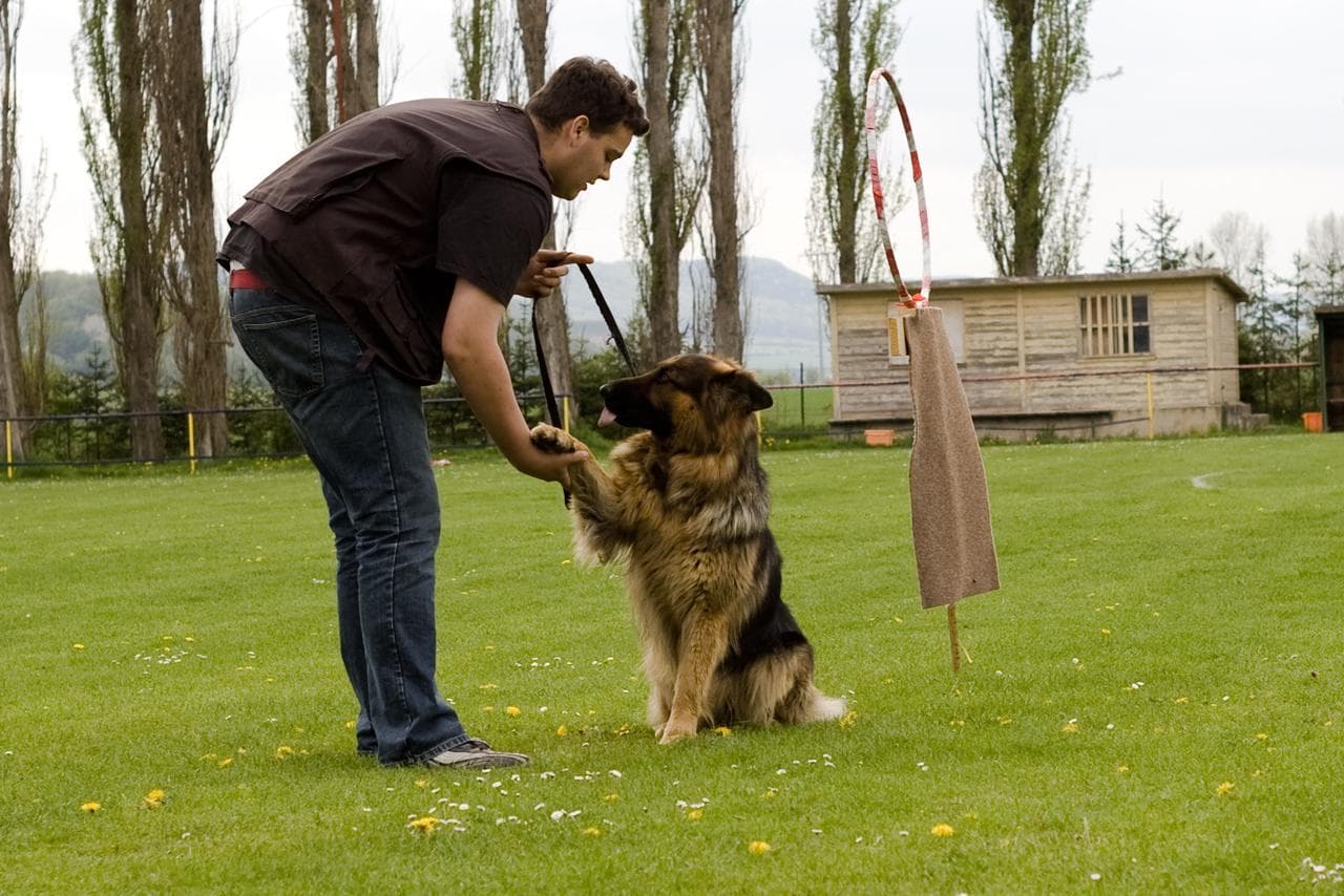 Archivbild: Maiveranstaltung 2010, Bild 03