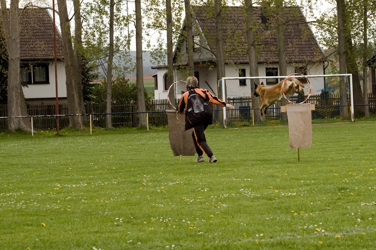 Archivbild: Maiveranstaltung 2010, Bild 11