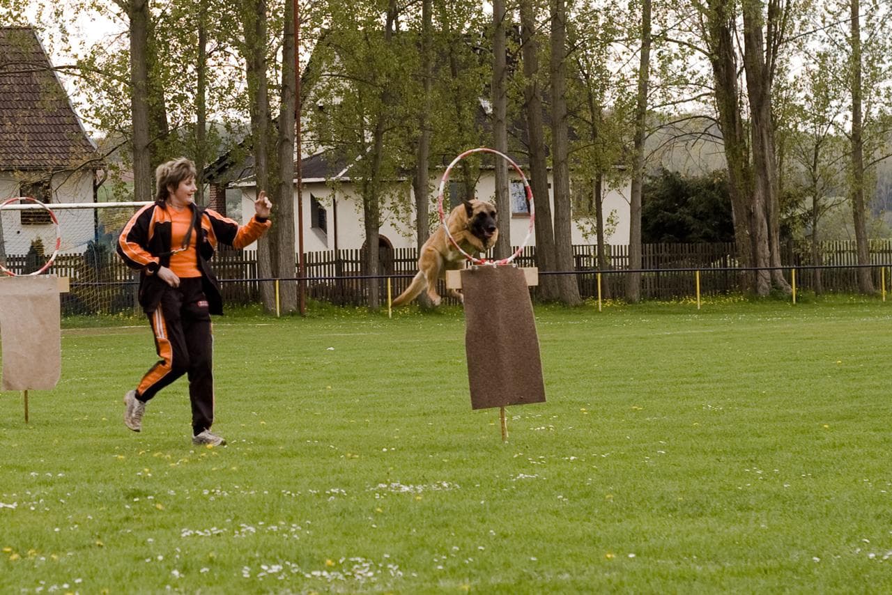 Archivbild: Maiveranstaltung 2010, Bild 10