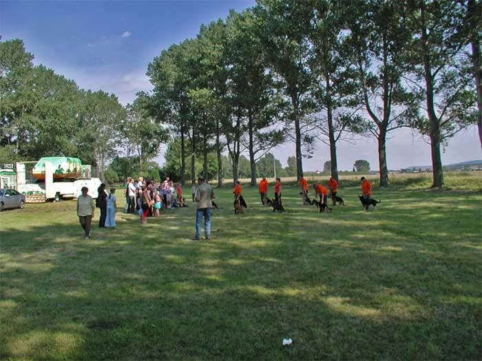 Bilder zum Dorffest 2007