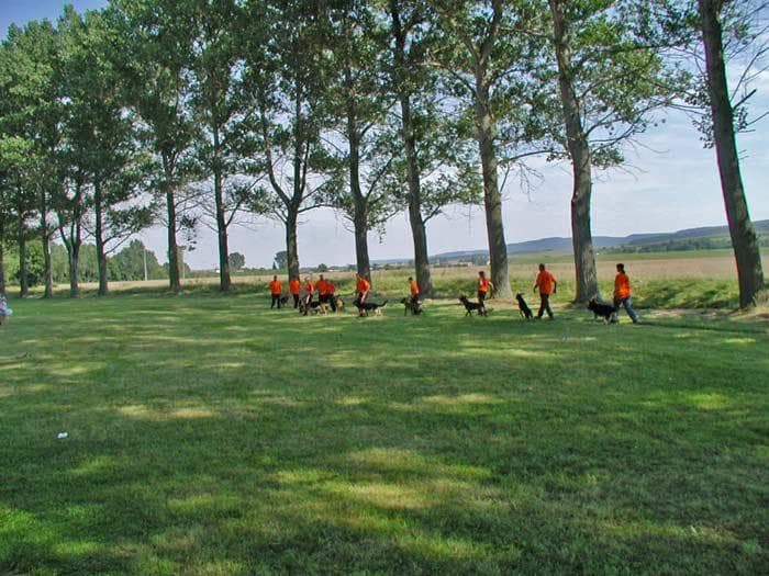 Archivbild: Dorffest 2007, Bild 04