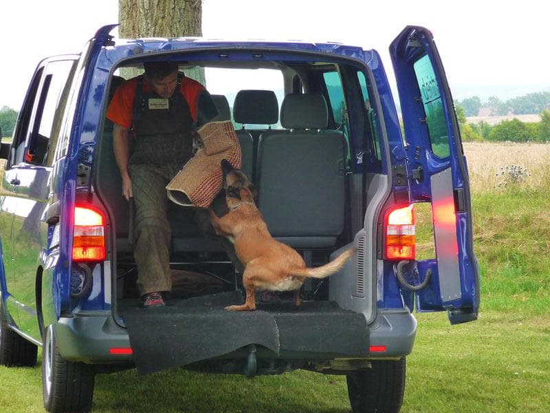 Bilder zum Dorffest 2008