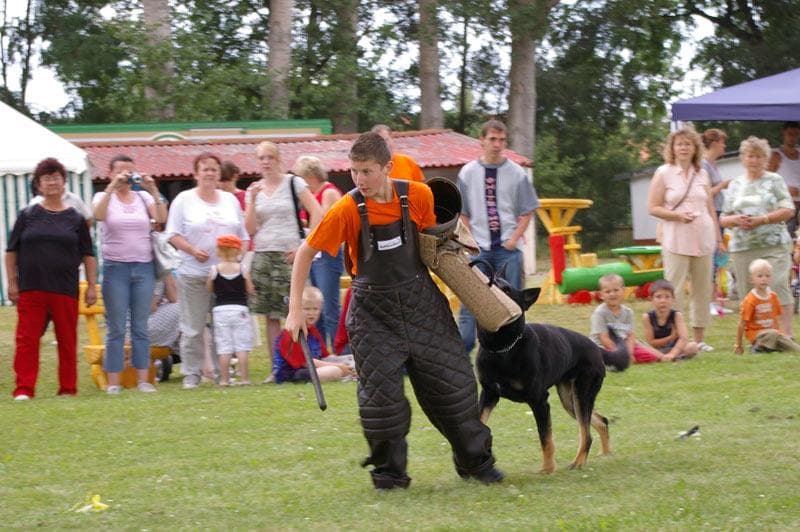 Archivbild: Dorffest 2008, Bild 10