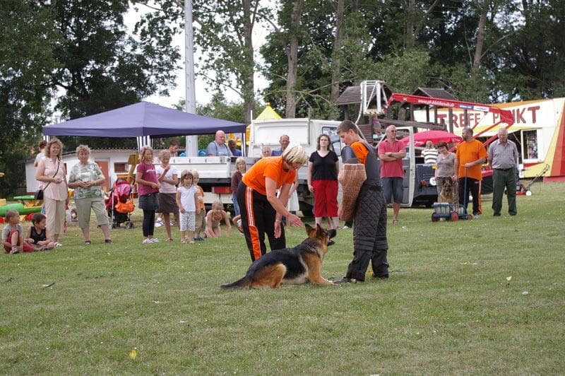 Archivbild: Dorffest 2008, Bild 12