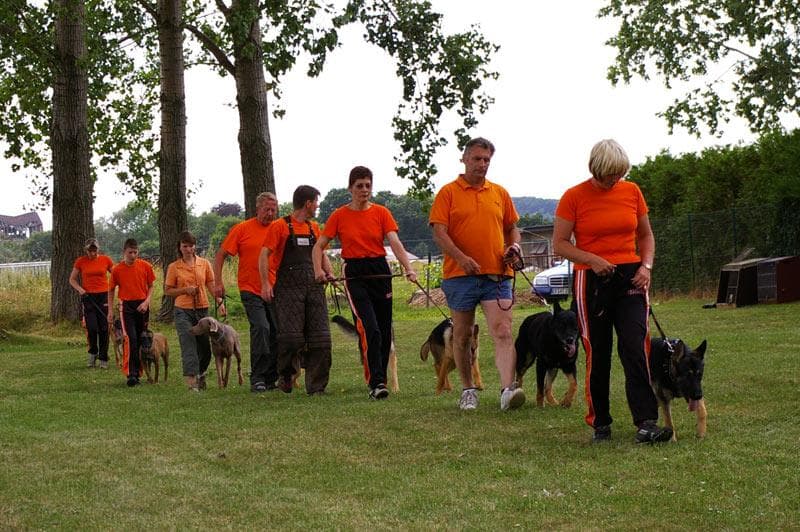 Archivbild: Dorffest 2008, Bild 14