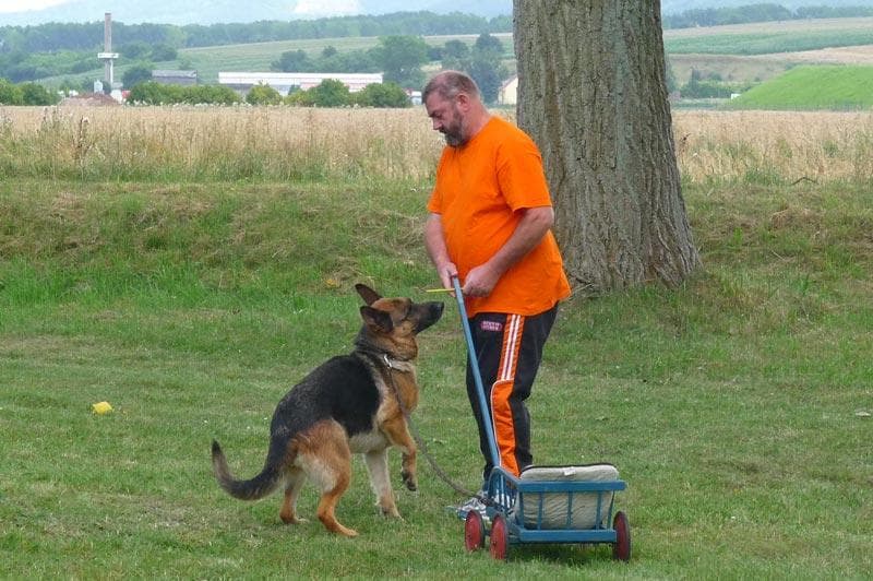 Archivbild: Dorffest 2008, Bild 15