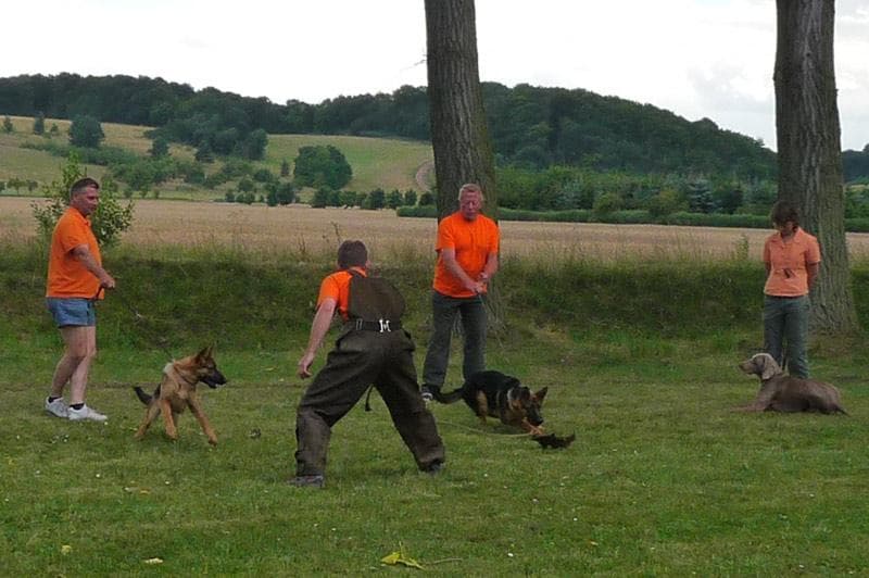 Archivbild: Dorffest 2008, Bild 02