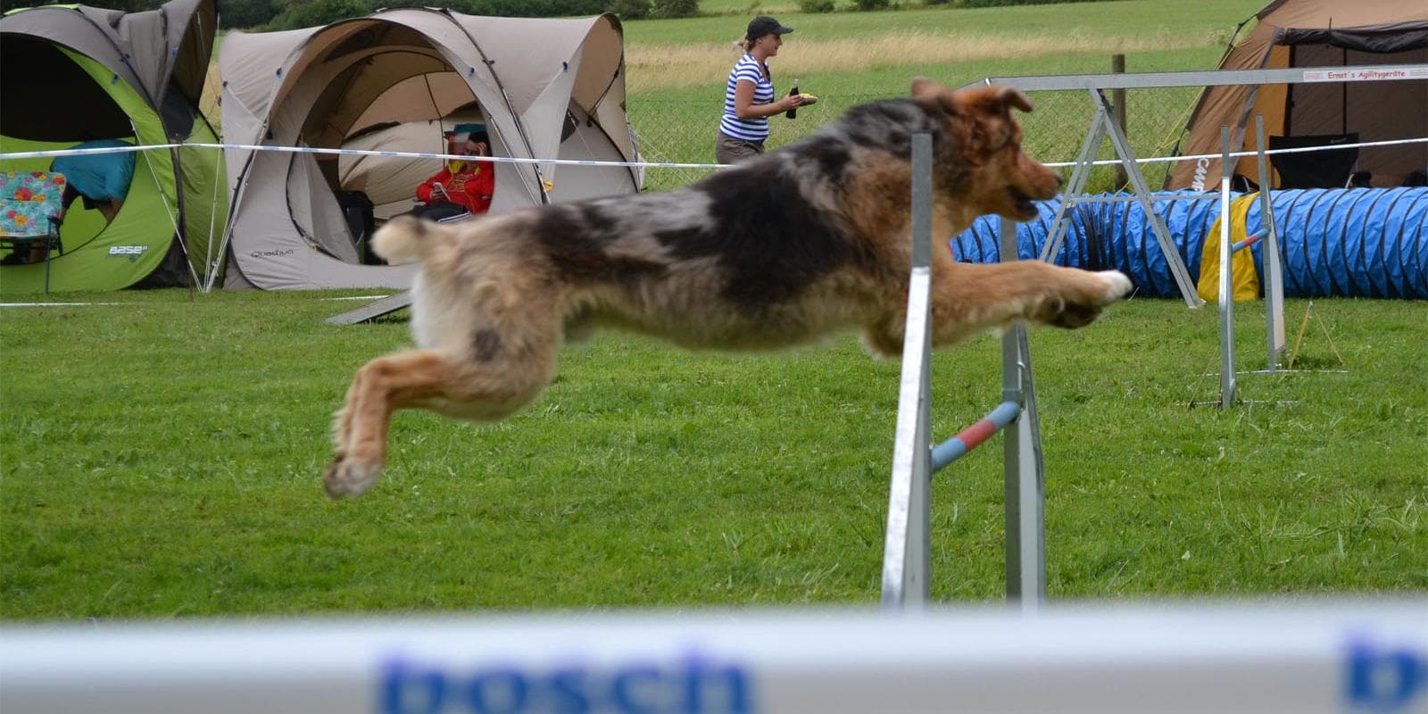 Nordhessisches Agility Winter Cup 2016