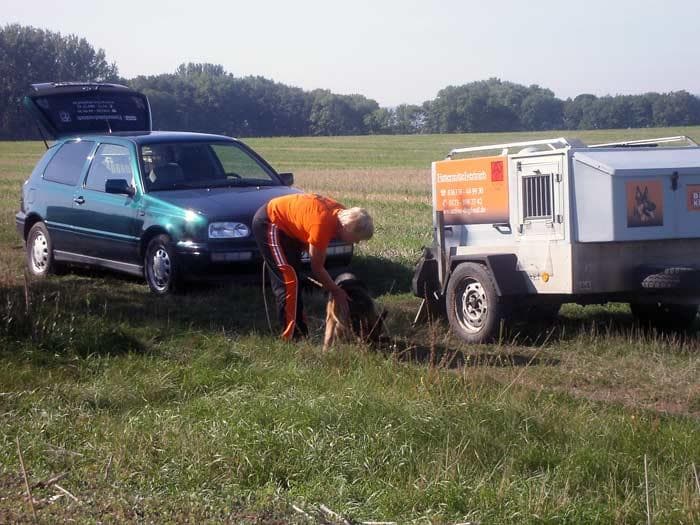 Vorbereitung eines Hundes am Rand des Fährtengeländes